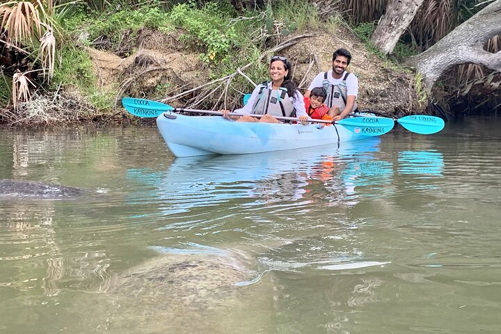 Wildlife Refuge Manatee, Dolphin & Mangrove Kayak or Paddleboarding Tour! - Photo 1 of 25